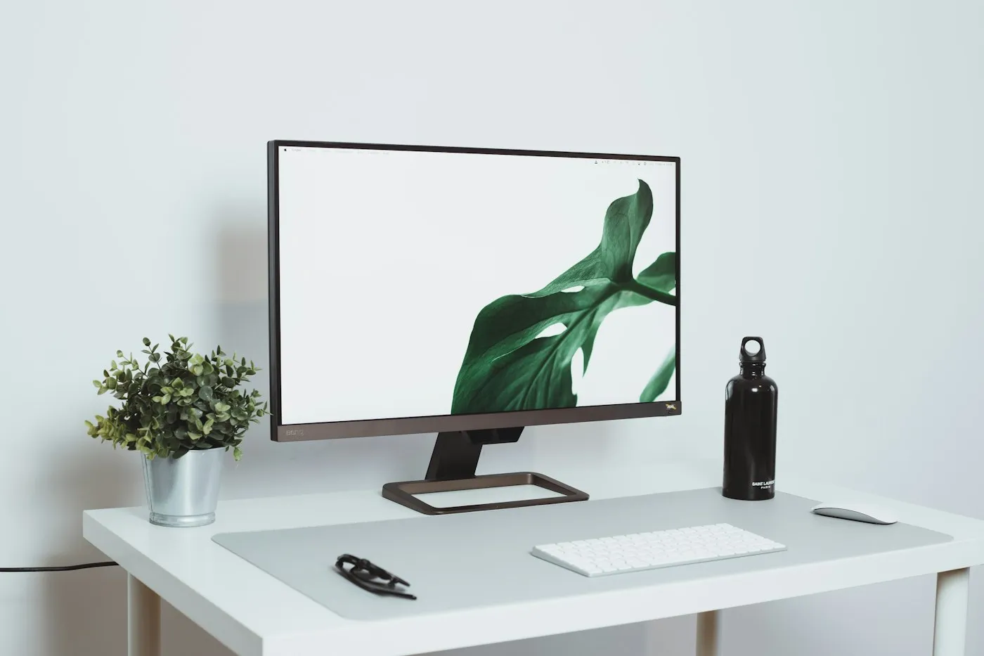 A tidy white desk with a monitor and a small plant